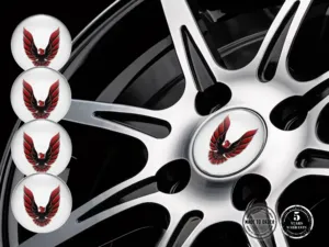 Pontiac Adesivi Cupola Custom Edizione Emblemi Gara